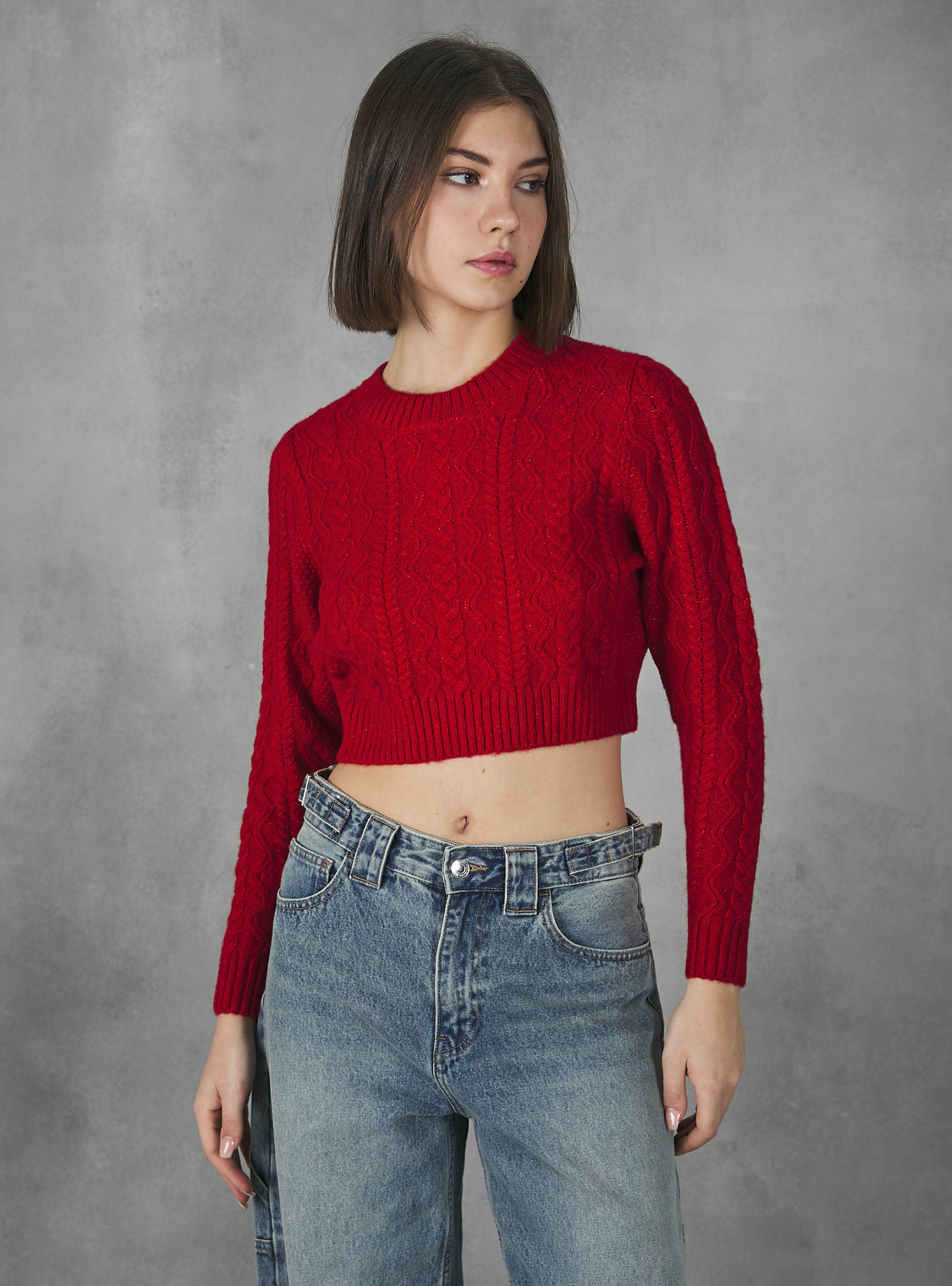 THEREDTHREAD / ザレッドスレッド】S pullover cropped