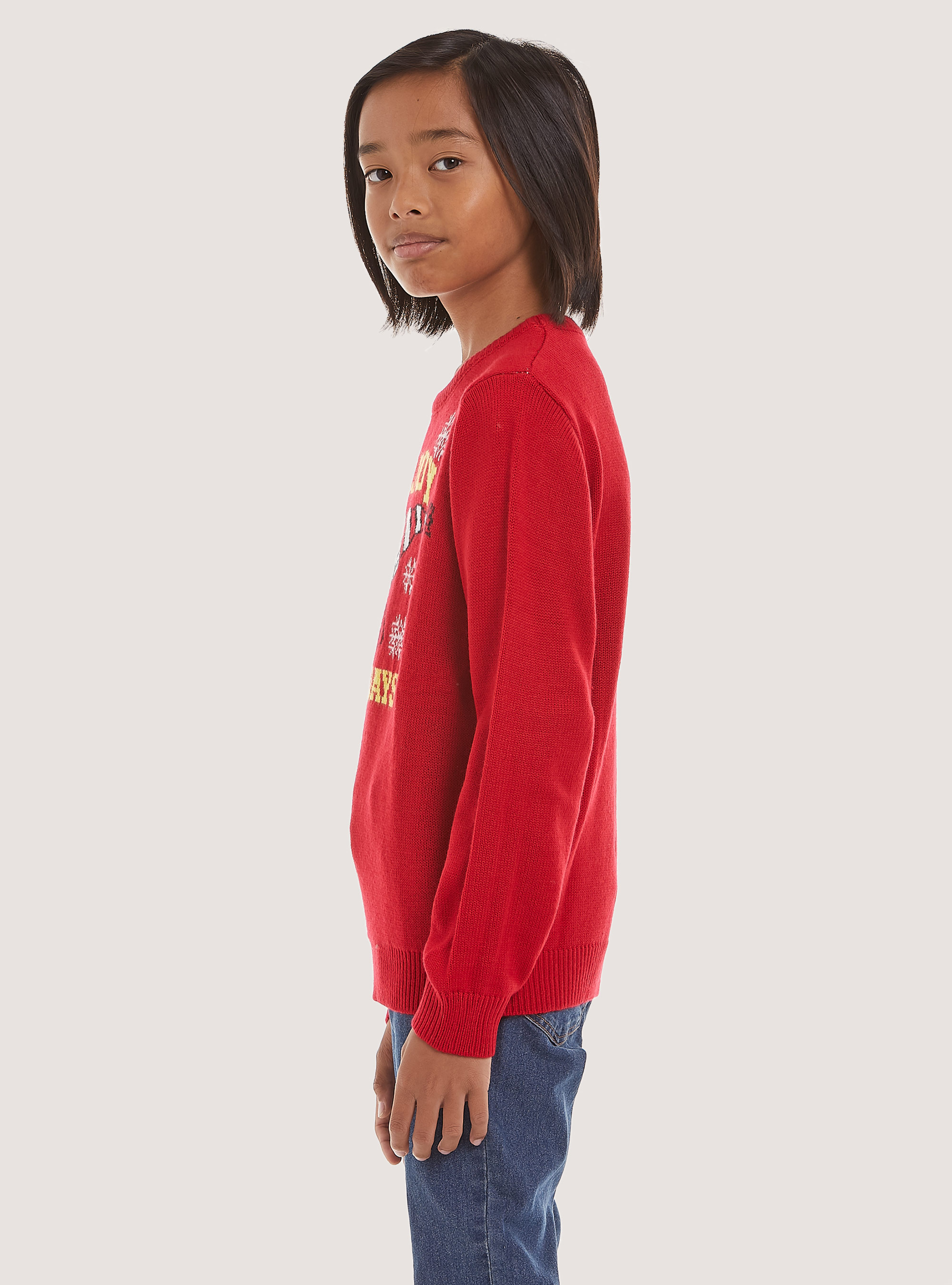 Pullover  "snoopy enjoy holiday", RD2 RED MEDIUM