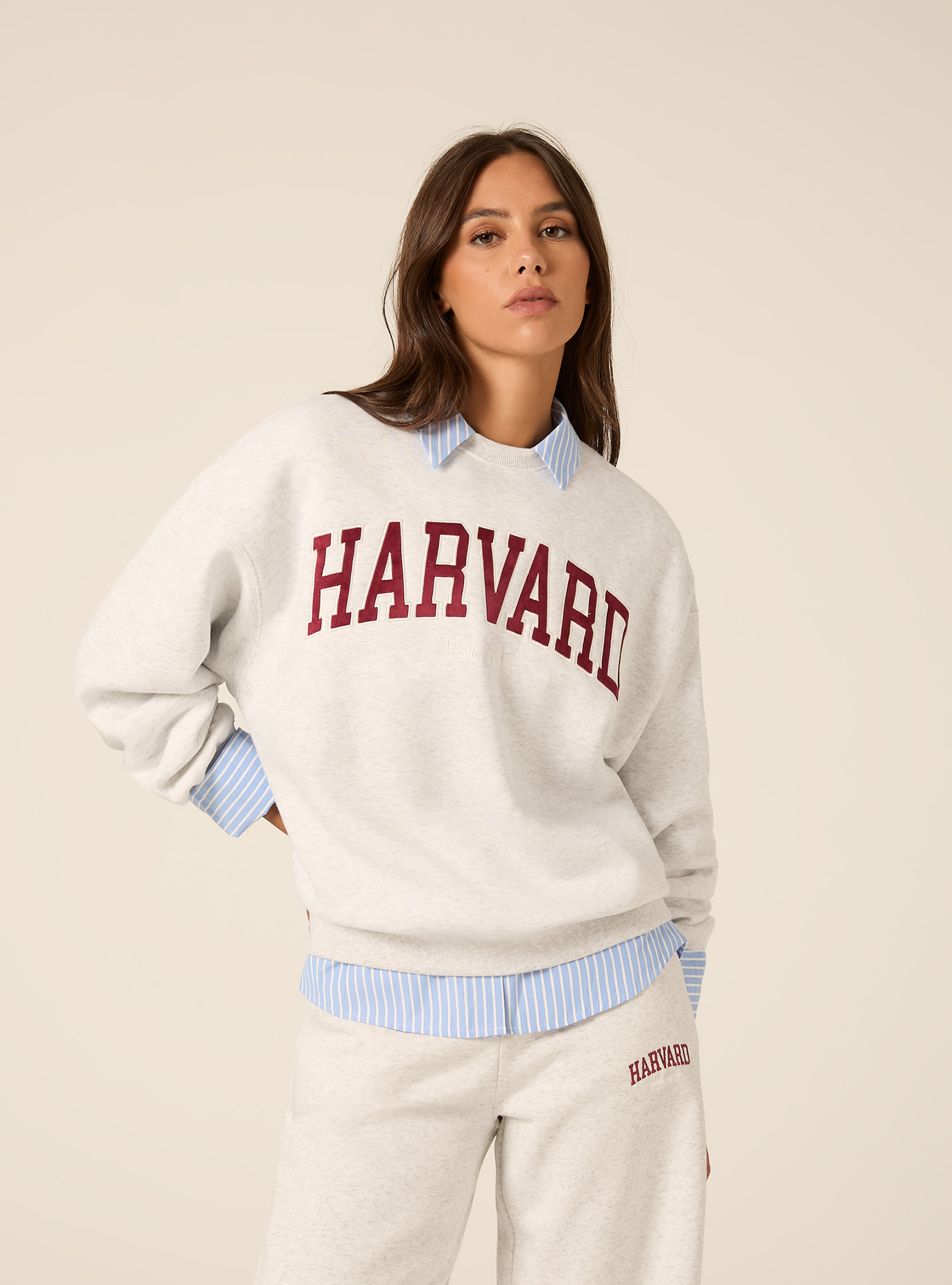 Felpa girocollo harvard, GRIGIO CHIARO MELANGE