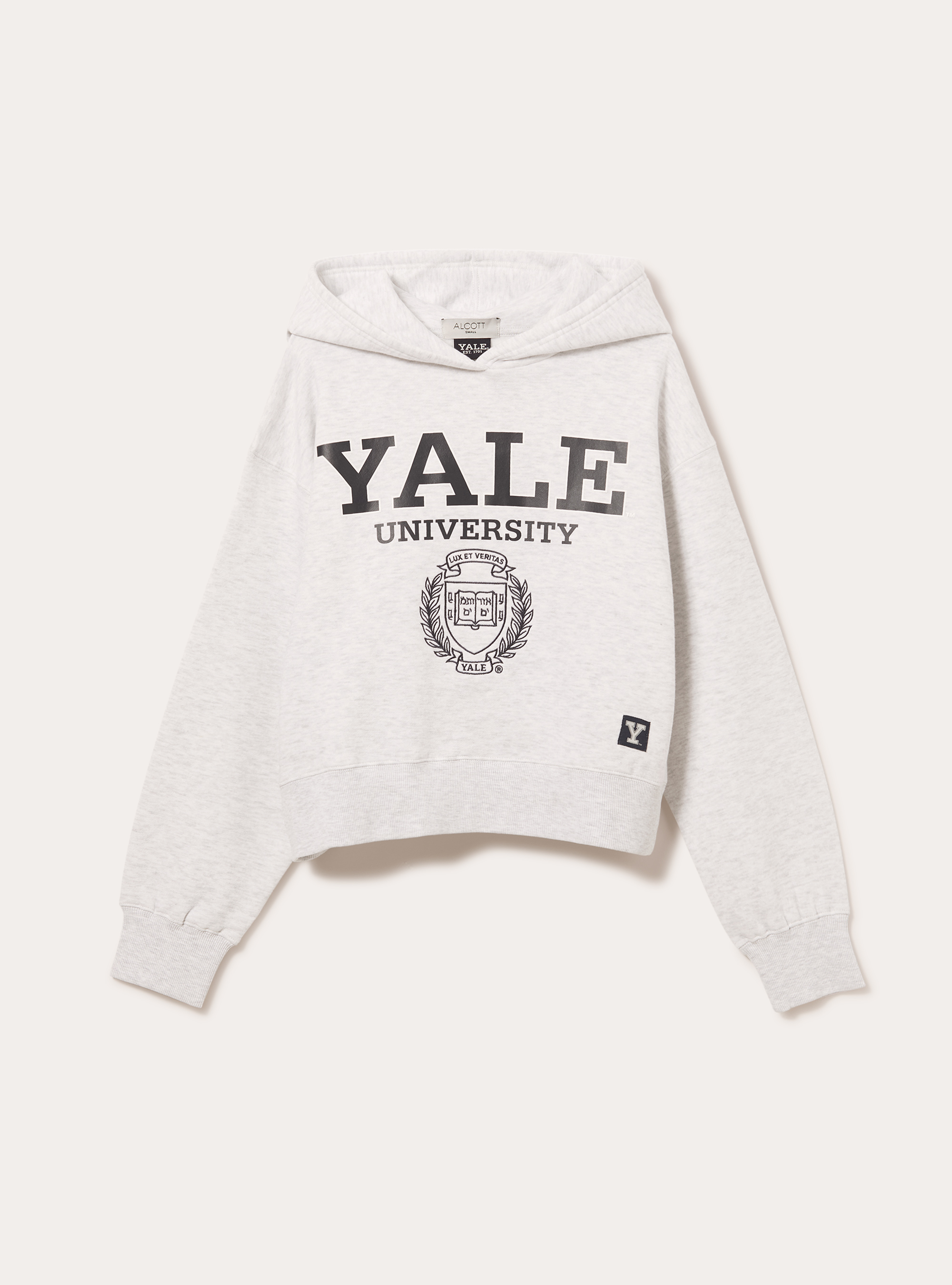 Sudadera boxy fit Yale / Alcott, MGY2 GREY MEL MEDIUM