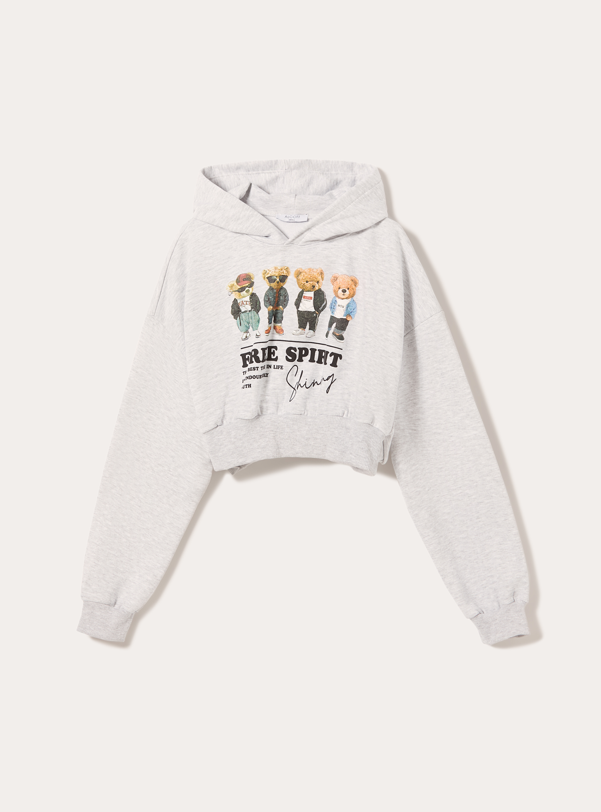 Sudadera crop fit con estampado Teddy, MGY3 GREY MEL LIGHT