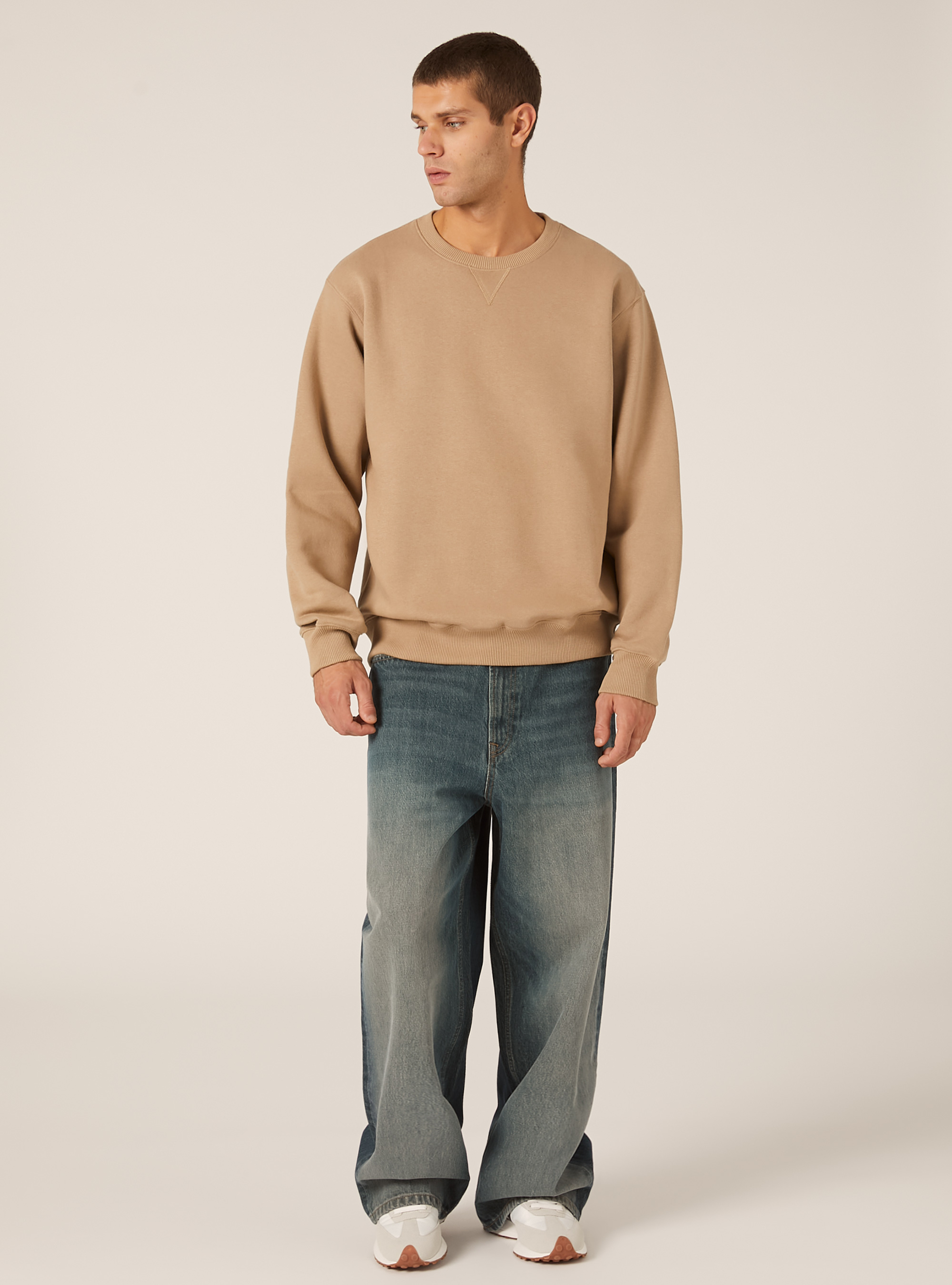 Solid color crew neck sweatshirt, BG1 BEIGE DARK