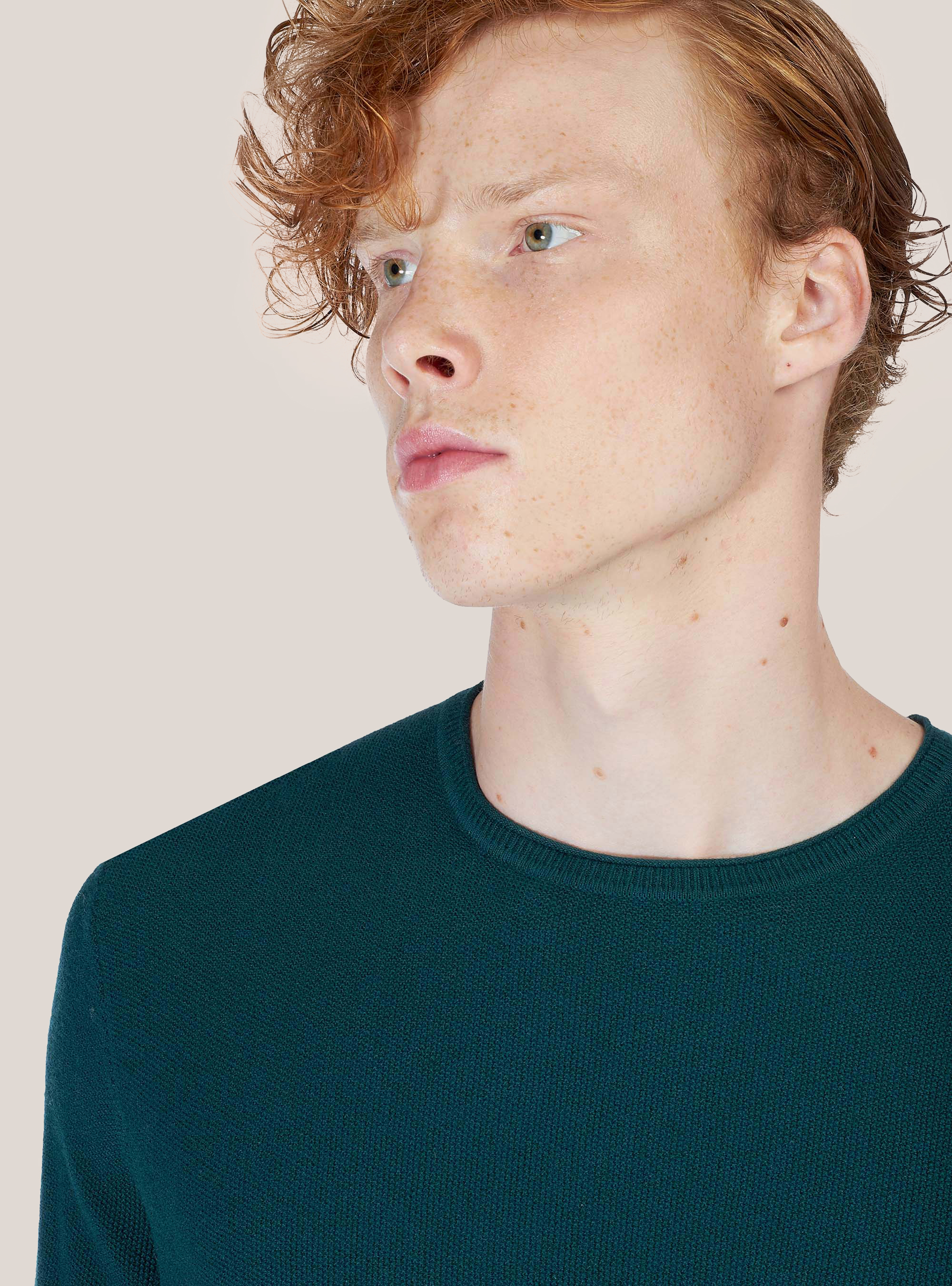 COTTON AND CASHMERE CREWNECK SWEATER, GREEN